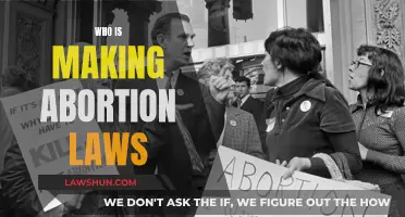 Who Decides Abortion Laws: Politics or People?