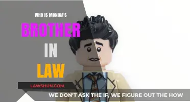 Ross Geller: Monica's Brother-in-Law