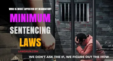 Mandatory Minimum Sentencing: Who Bears the Brunt of Harsh Penalties?