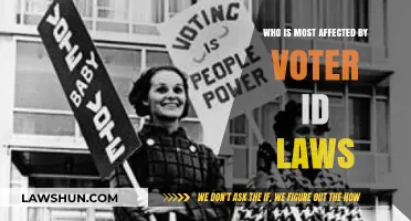 Voter ID Laws: Who Bears the Brunt of Restrictions?