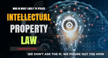Who Utilizes Intellectual Property Law Most? Key Industries and Creators