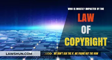 Copyright Law Impact: Who Bears the Brunt Most?