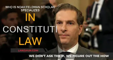 Noah Feldman: Scholar of Constitutional Law