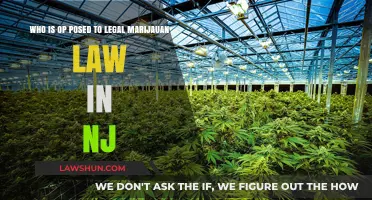 Who Opposes New Jersey's Legal Marijuana Law and Why?