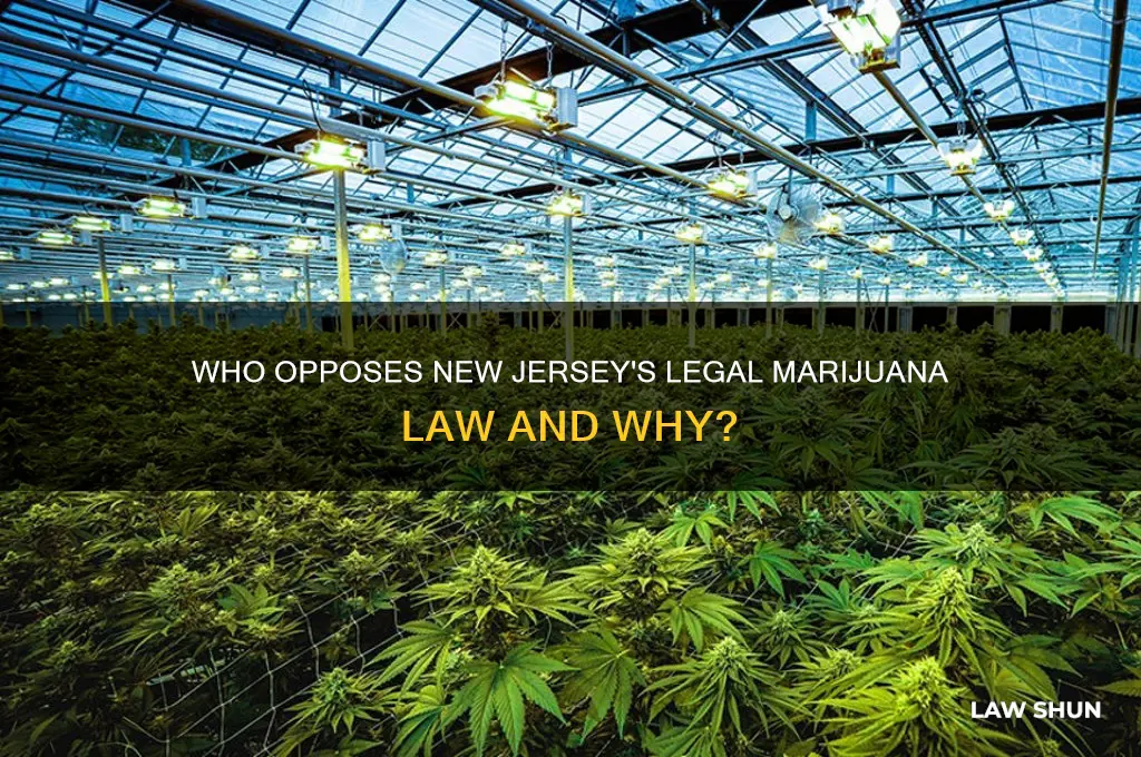 who is op posed to legal marijauan law in nj