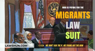 Who Funds Migrants' Lawsuits? Uncovering the Financial Backing