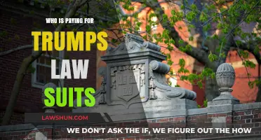 Who's Funding Trump's Legal Battles? Uncovering the Financial Backers