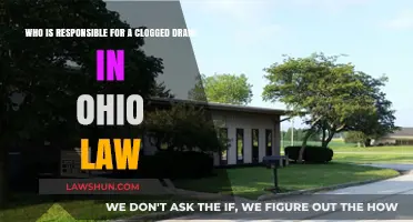 Ohio Drain Clogs: Who's Legally Responsible for the Mess?