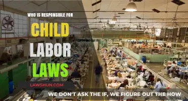 Who Enforces Child Labor Laws: Governments, Businesses, or Society?