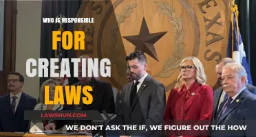 The Lawmakers: Who Creates Our Rules?