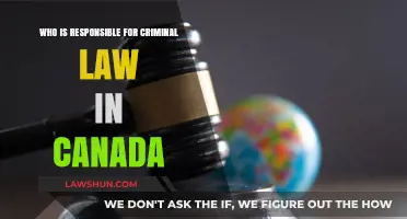 Criminal Law in Canada: Who's Responsible?