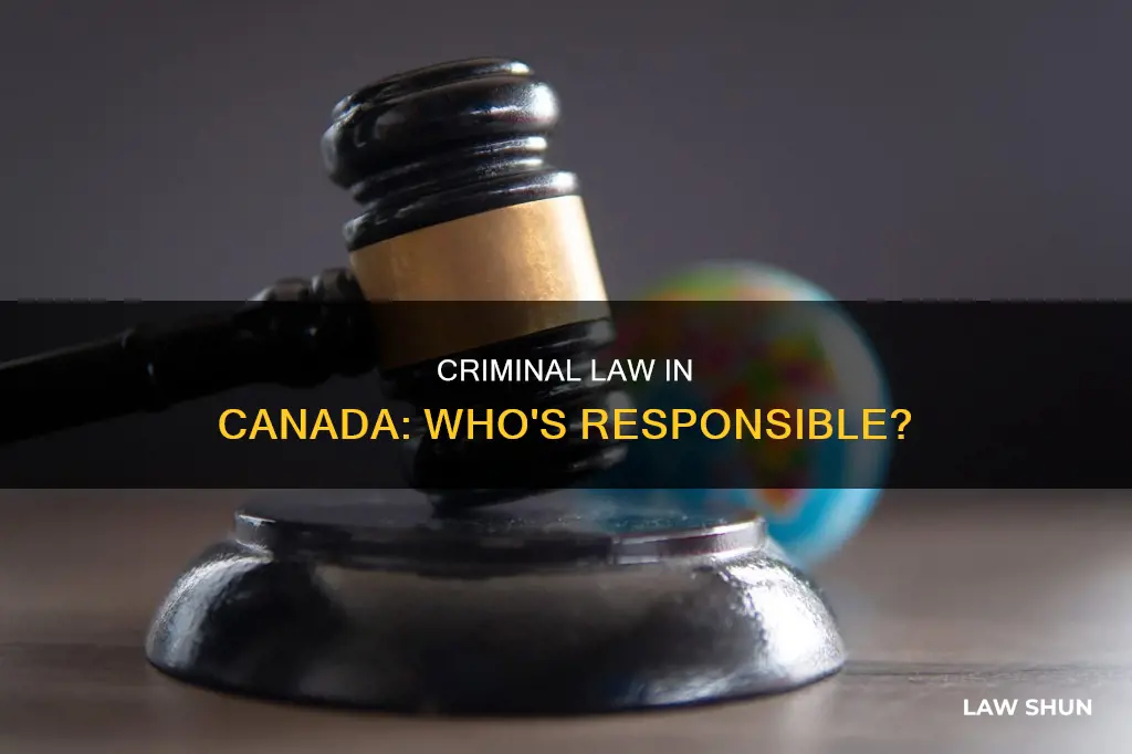 who is responsible for criminal law in canada