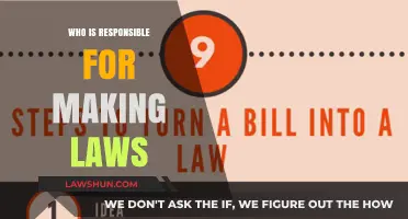 Who Holds the Power: A Deep Dive into Lawmaking Responsibilities