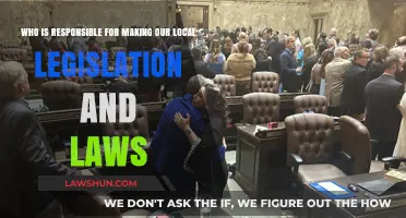 Understanding Local Lawmakers: Who Crafts Our Community's Legislation?