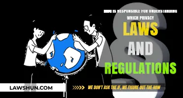 Who Bears the Burden of Understanding Privacy Laws and Regulations?