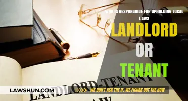 Landlord vs. Tenant: Who Upholds Local Laws in Rentals?