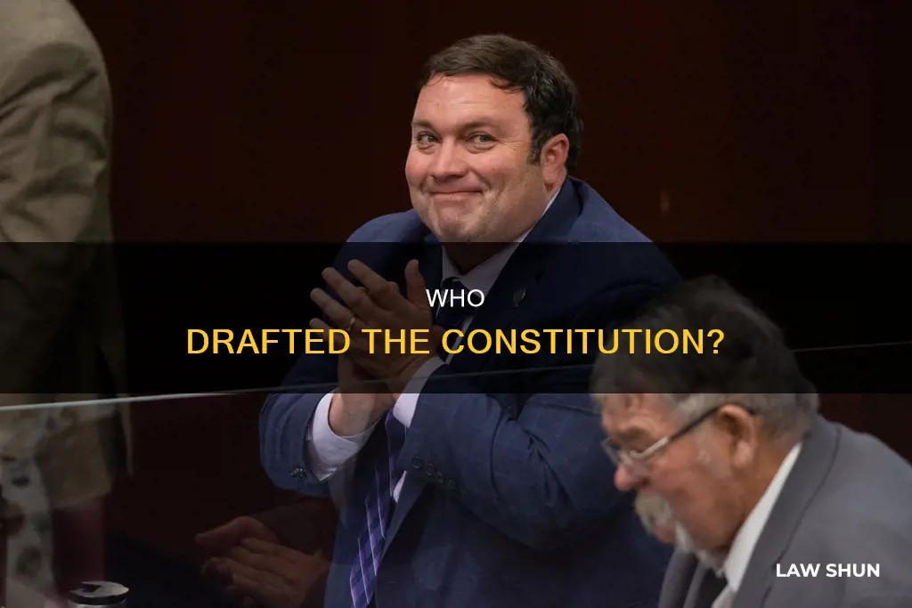 who is responsible for writing laws in the constitution