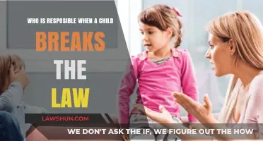 When Children Break the Law: Who Bears the Responsibility?