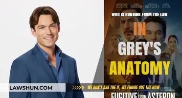 Grey's Anatomy Fugitive: Uncovering Characters Fleeing the Law in the Series