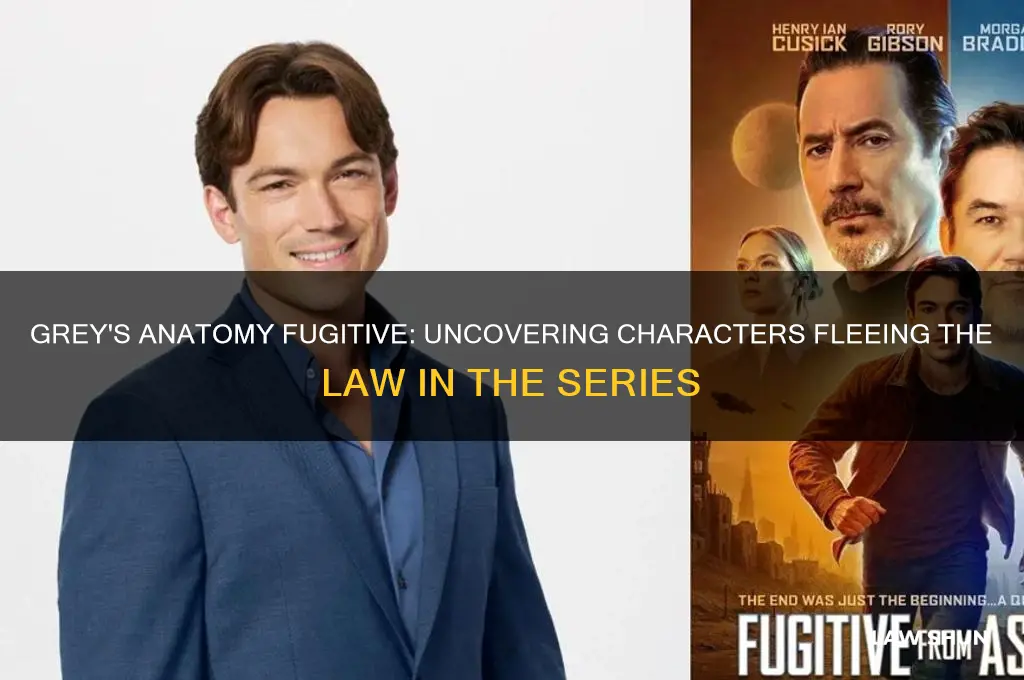 who is running from the law in grey