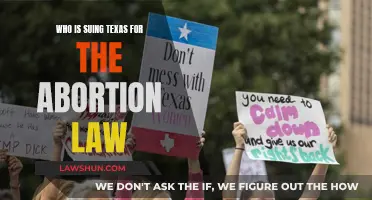 Who is Suing Texas Over Abortion Restrictions?