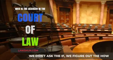 Unveiling the Role of the Accuser in Legal Proceedings