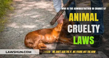 Understanding Animal Cruelty Laws: Which Administration Holds Responsibility?