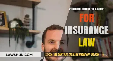 Top Insurance Law Experts: Who Leads the Nation's Legal Landscape?