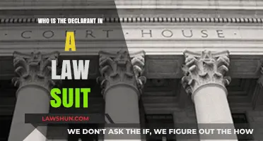 Understanding the Role of the Declarant in Legal Proceedings