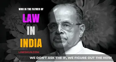 Unveiling India's Legal Pioneer: The Father of Law's Legacy