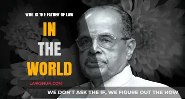 Unveiling the Father of Law: A Global Legal Legacy Explored