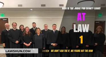 Meet the Presiding Judge of County Court at Law 1