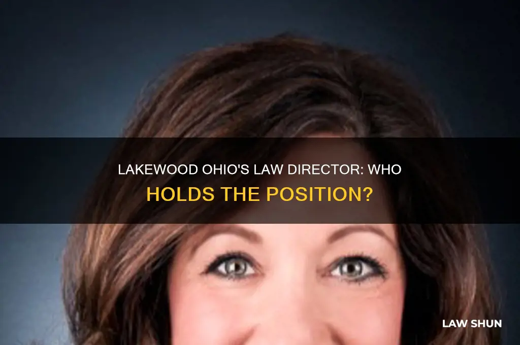 who is the law director for lakewood ohio