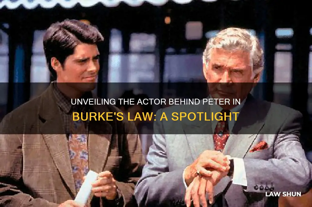 who is the person who played peter on burkes law