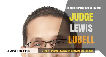 Meet Judge Lewis Lubell's Principal Law Clerk: Key Insights