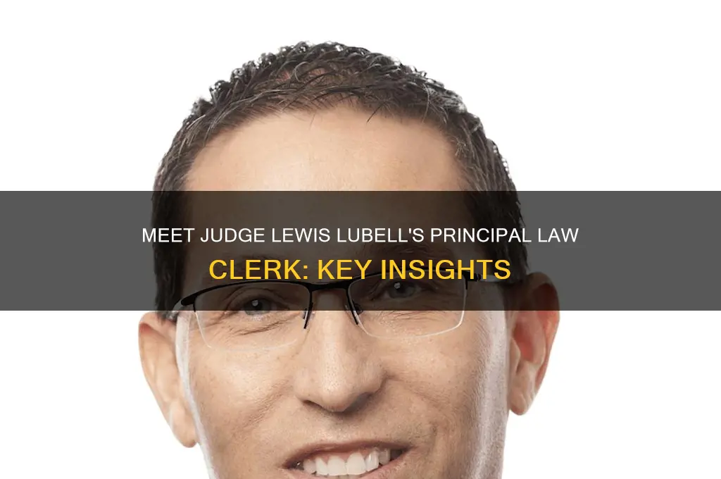 who is the principal law clerk for judge lewis lubell