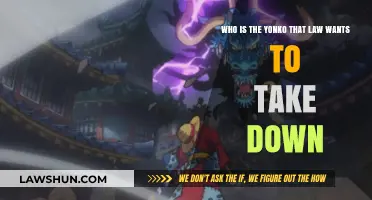 Law's Target: Which Yonko Does the Surgeon of Death Aim to Defeat?