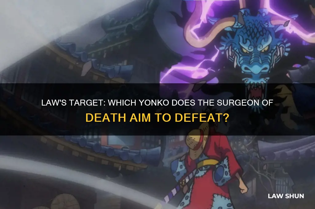 who is the yonko that law wants to take down