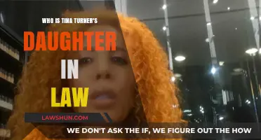 Meet Afida Turner: The Story of Tina Turner's Daughter-in-Law