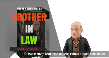 Walter White's Brother-in-Law: Who is He?