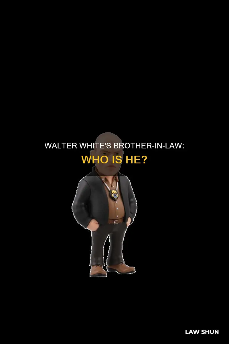 who is walter white