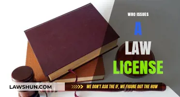 Law License Issuance: Who's Responsible?