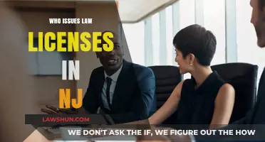 Law Licenses: Who Issues Them in New Jersey?
