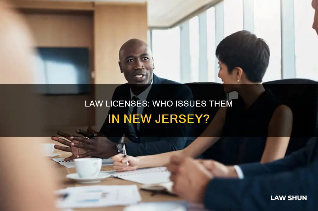 who issues law licenses in nj
