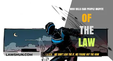 Vigilantes or Justice Seekers: Who Takes the Law into Their Own Hands?