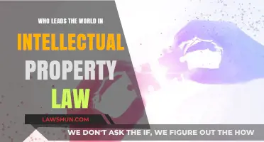 Global IP Leadership: Which Nation Dominates Intellectual Property Law?