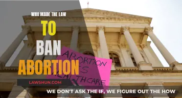 The Lawmakers Behind Abortion Bans: A Global Concern