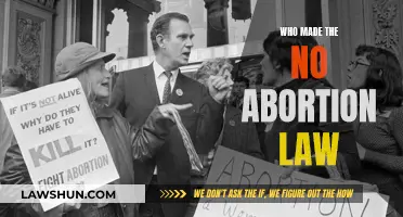 The Anti-Abortion Law: Who Are Its Architects?