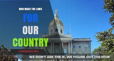 Understanding the Lawmakers: Who Shapes Our Country's Legal Framework?