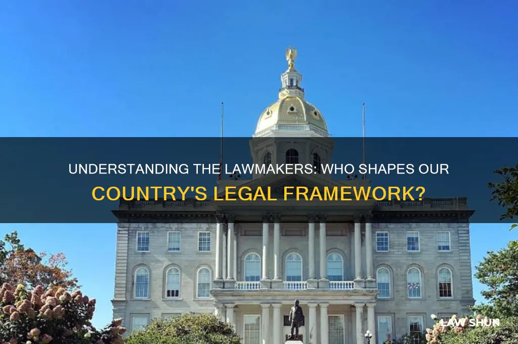 who maes the laws for our country